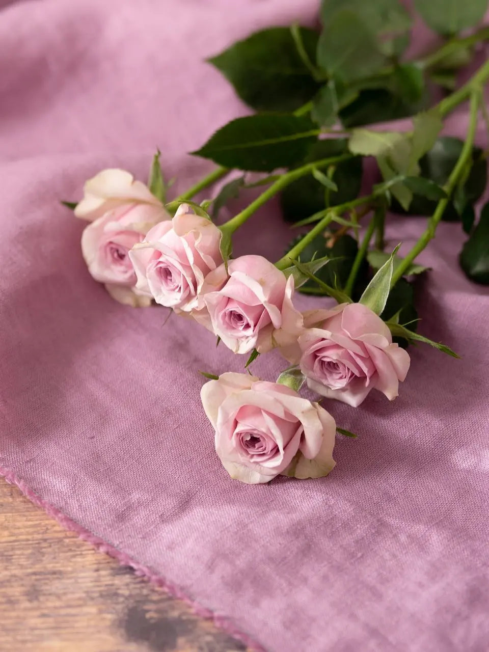 Pink_Lilac_Fabric.webp