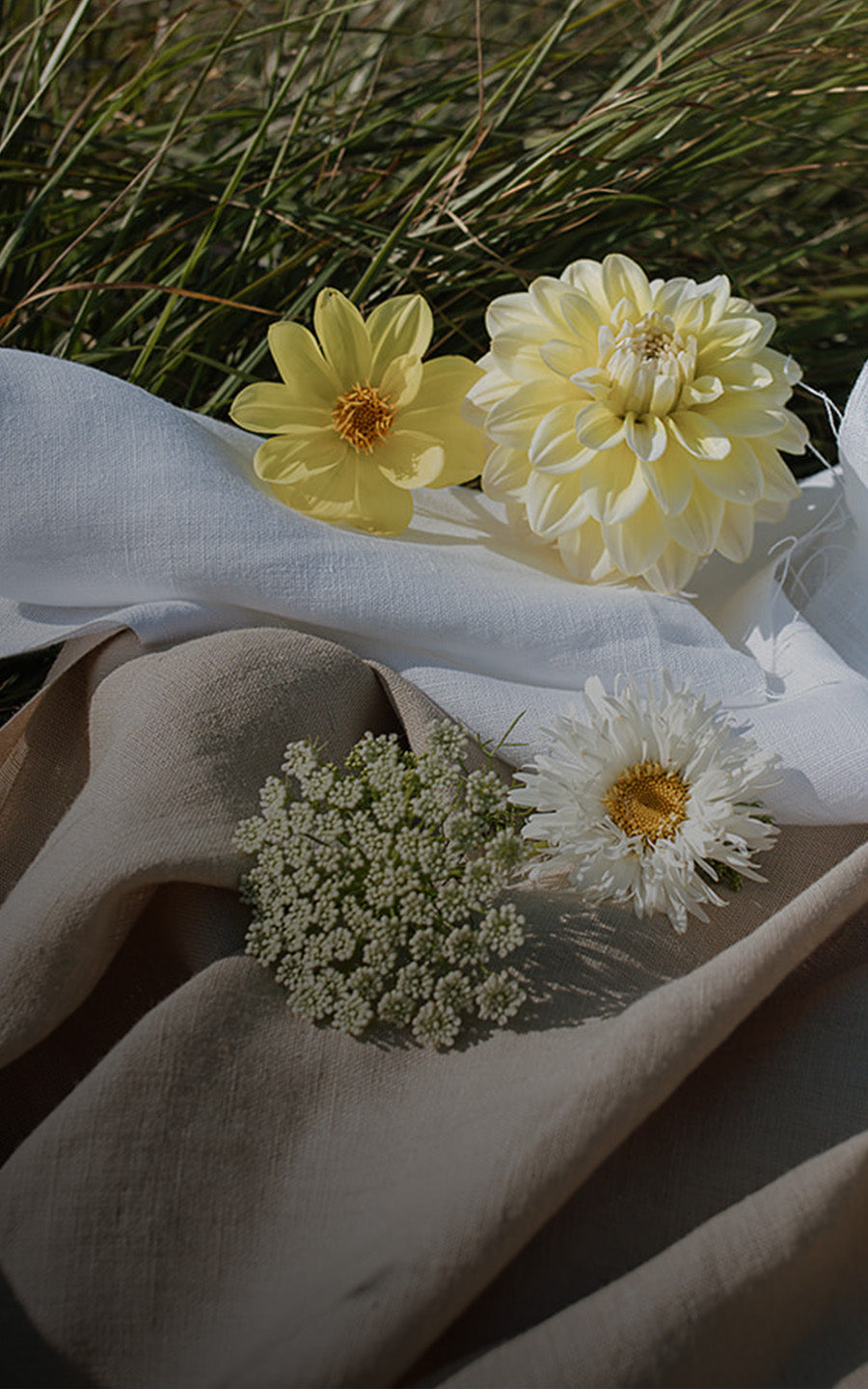 Spring_Collection_Mobile_2226d077-f7f1-496f-a481-bbaafadf17b4.jpg