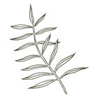 noun-plant-1668410-474830.png